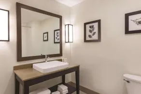 Country Inn & Suites by Radisson, Macon West, GA - Salle de bain