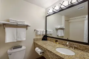 Best Western Plus Castle Rock - Salle de bain