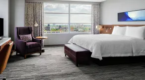 Hilton Garden Inn Chicago McCormick Place - Chambre
