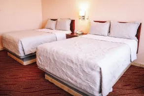 Hotel Real Plaza Aguascalientes - Camera