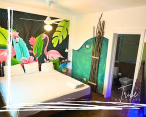 Tribe Inn & Rooftop Lounge - Camera