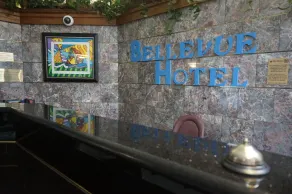 Bellevue Hotel and Suites - Réception