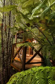 Cradle forest inn - Vista dalla camera