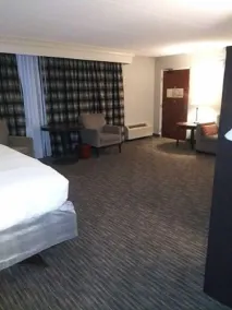 DoubleTree by Hilton Detroit - Dearborn - Chambre
