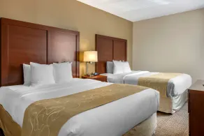 Comfort Suites Tamarac Sawgrass - Chambre