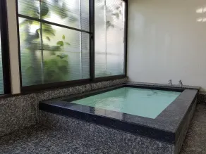 Ryokan Matsukaze - Spa