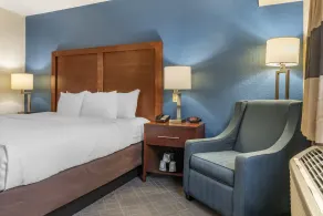 Comfort Inn University - Chambre