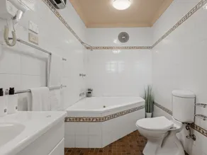 Katoomba Town Centre Motel - Bathroom