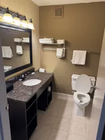 Escanaba Stay inn & suites - Bathroom