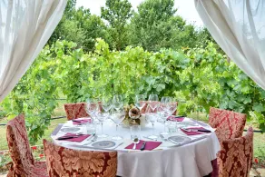 Hotel Torciano Vecchio Asilo - Restaurant