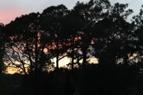 Tybee Island Inn Bed & Breakfast - Vue de la chambre