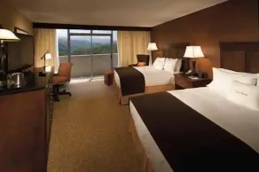 The Park Vista - a DoubleTree by Hilton Hotel - Gatlinburg - Chambre