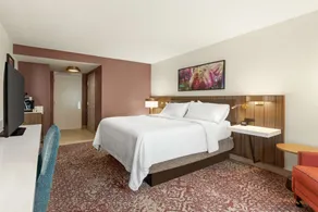 Hilton Garden Inn Allentown Bethlehem Airport - Chambre