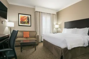 TownePlace Suites by Marriott Seguin - Chambre