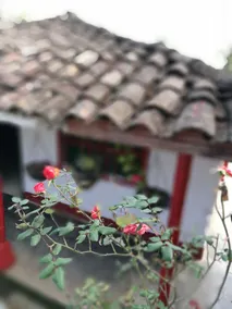 Cabañas Tipicas De Silvia - Eingangsbereich