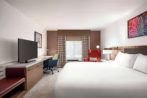 Hilton Garden Inn Atlanta South/McDonough - Room