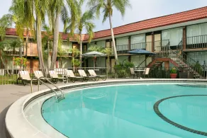Days Inn by Wyndham Clearwater/Central - Piscine