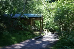 Alaska Creekside Cabins in Seward - Værelse