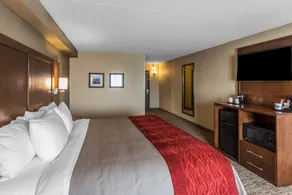Comfort Inn & Suites Knoxville West - Chambre