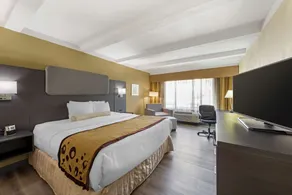 Best Western Plus Madison-Huntsville Hotel - Chambre