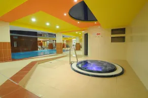 Penzion Forman - Piscina