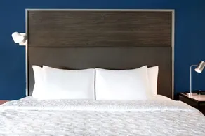 Tru By Hilton Columbia Greystone - Chambre
