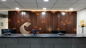 Comfort Inn & Suites Johnson City - Binghamton - Réception