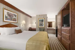 Ramada by Wyndham Saginaw Hotel & Suites - Chambre
