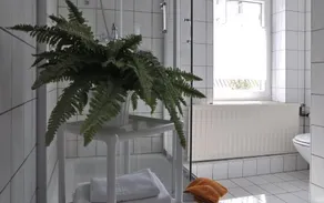 Gasthof zur Schweiz - Salle de bain