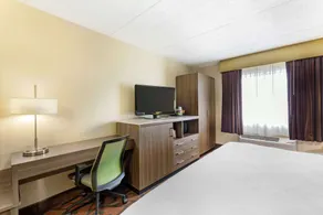 Best Western Rochester Marketplace Inn - Chambre
