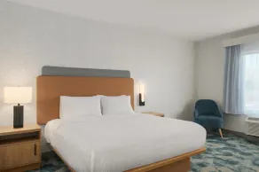 Hampton Inn by Hilton Richmond Chester - Room