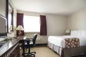 Albatross Hotel - Chambre