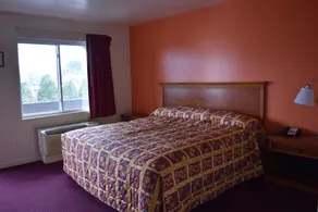 PLYMOUTH MOTOR LODGE - Chambre