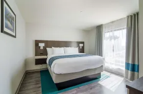 Comfort Inn & Suites Gulf Shores East Beach near Gulf State Park - Chambre