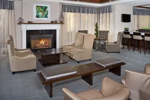 DoubleTree by Hilton Hotel Chicago Wood Dale - Elk Grove - Réception