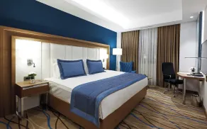 Dedeman Kayseri - Chambre