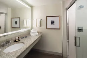 Sheraton Raleigh Hotel - Badeværelse