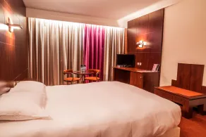 Hôtel des Congrès, Lyon - Chambre