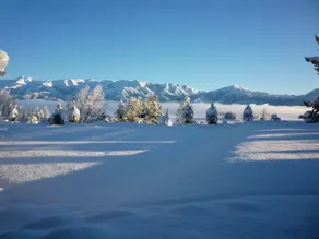 Braemar Lodge And Spa - Vue de la chambre