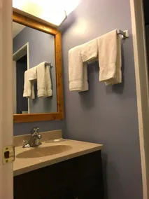 The little chalet motel - Salle de bain