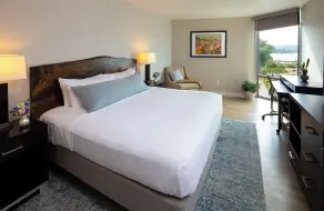 Delamar Traverse City - Chambre