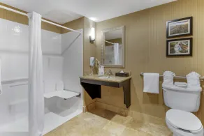 Comfort Suites Knoxville North - Salle de bain