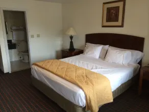 Branford Motel - Chambre