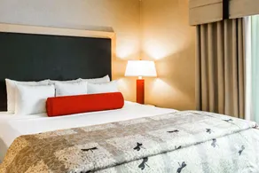 Cambria Hotel Rapid City near Mount Rushmore - Chambre