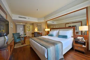 Marigold Thermal & Spa Hotel Bursa - Room