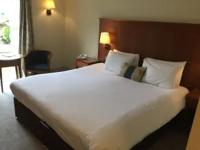 Rossett Hall Hotel - Habitación