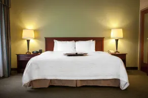 Hampton Inn & Suites Springfield-Southwest - Chambre