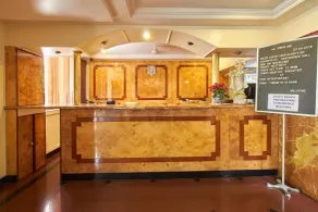 Hotel Swan Inn - Reception