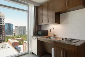 Homewood Suites by Hilton Chicago Downtown South Loop - Vue de la chambre