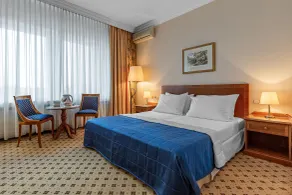 Natsionalny Hotel - Room